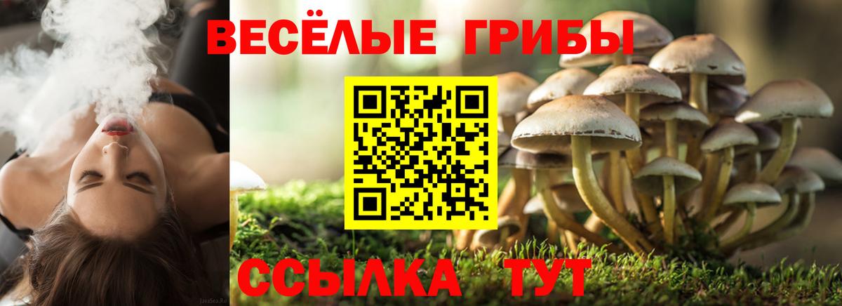 Псилоцибиновые грибы GOLDEN TEACHER Тавда