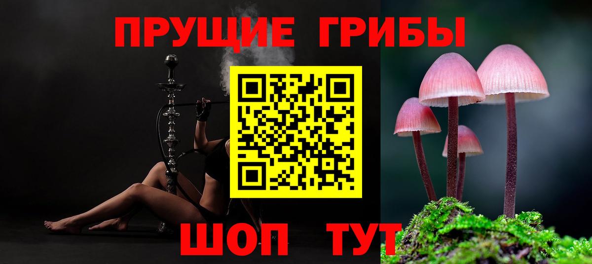 Псилоцибиновые грибы Magic Shrooms  Вход с VPN  Тавда 
